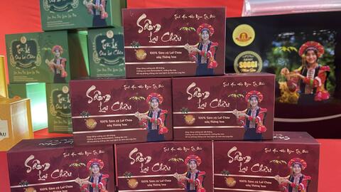 Các sản phẩm Sâm Lai Châu