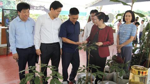 Các đồng chí lãnh đạo tỉnh Lai Châu thăm gian trưng bày Sâm Lai Châu