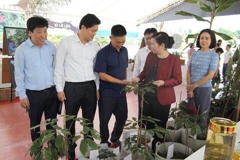 Các đồng chí lãnh đạo tỉnh Lai Châu thăm gian trưng bày Sâm Lai Châu